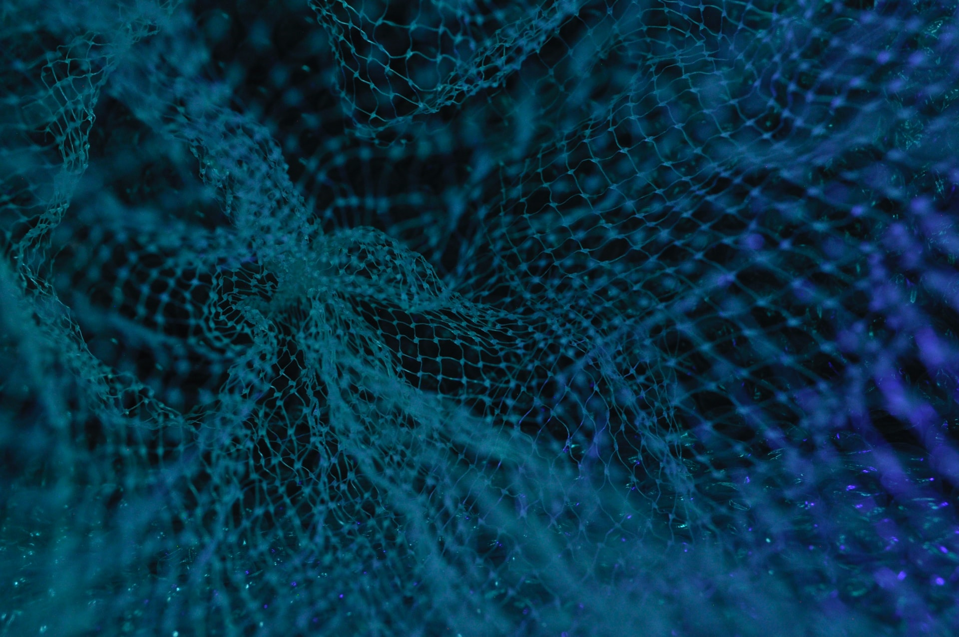 https://github.com/rokuosan/contentful-hugo/assets/85651386/56199226-2449-4bf9-b3d4-b3758d1d5b3e